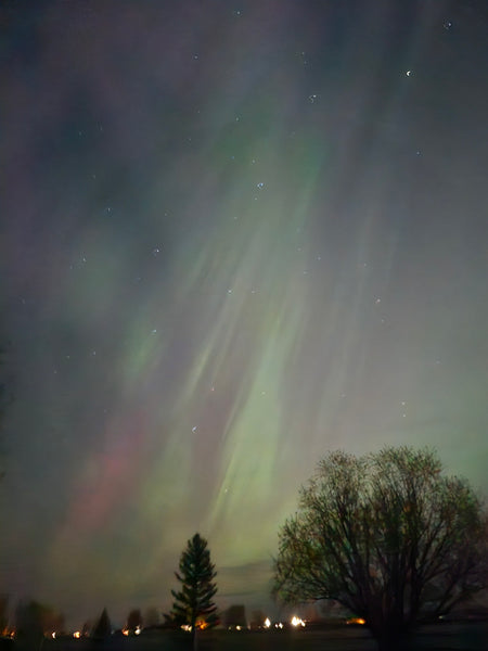 N. Night Sky Photo Card